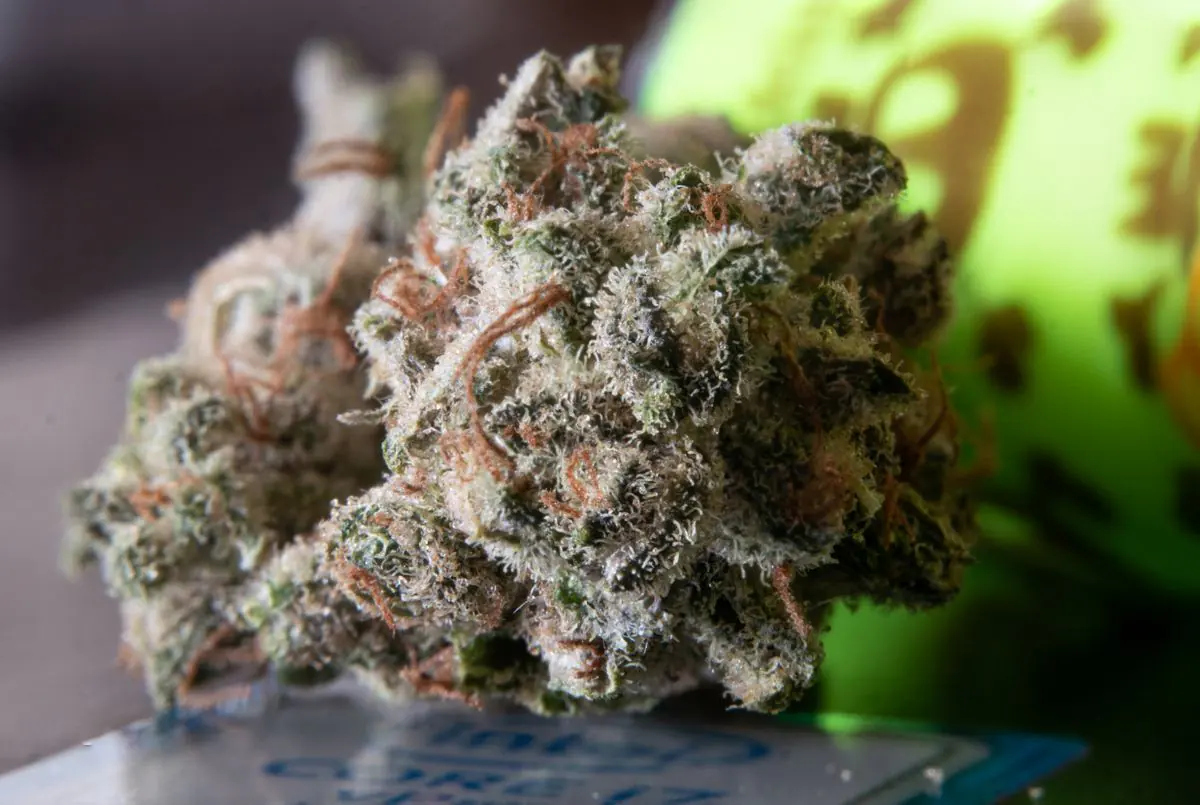 Shop THC Drinks cannabis