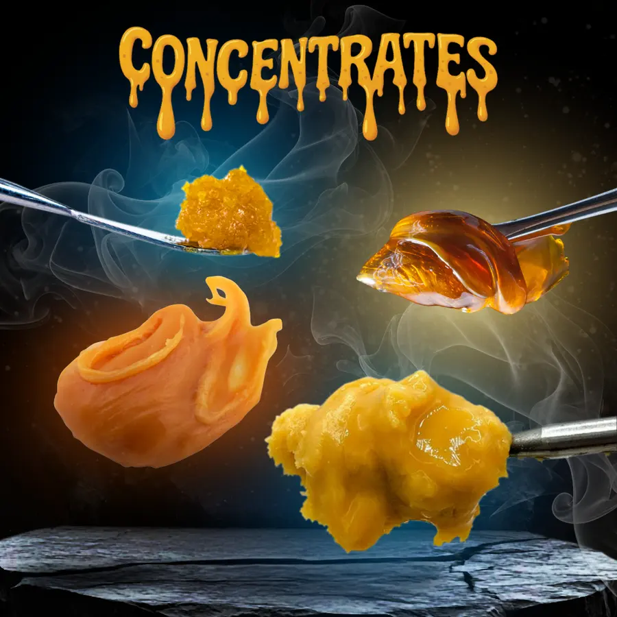 1g Concentrate - Board Selection