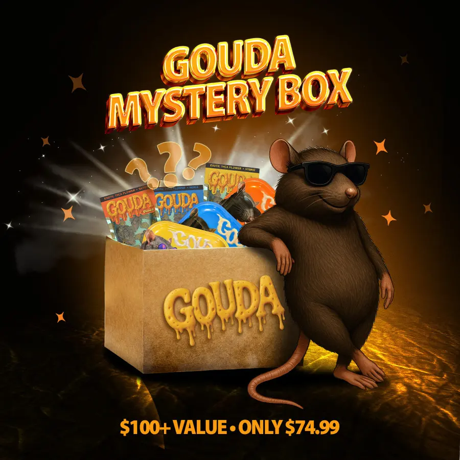 Gouda Mystery Box