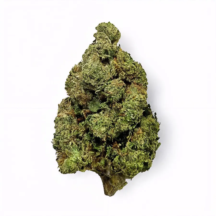 Area 41 Flower - Hybrid - THCA