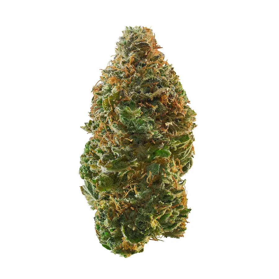 Garlic Cocktail Flower  Indica  THCA