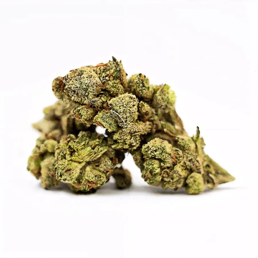 Gelato Haze Flower  Hybrid  THCA
