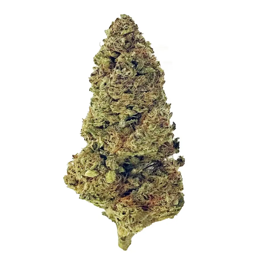 Glitter Bomb Flower  Indica  THCA