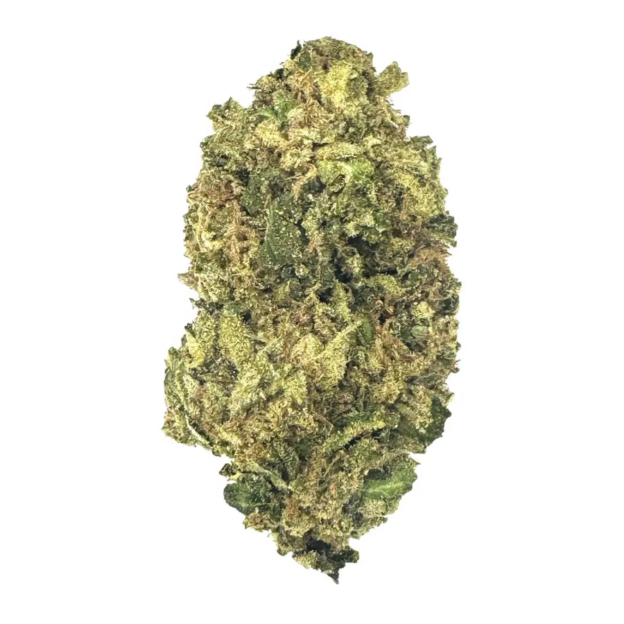 Gushers Flower  Hybrid  THCA