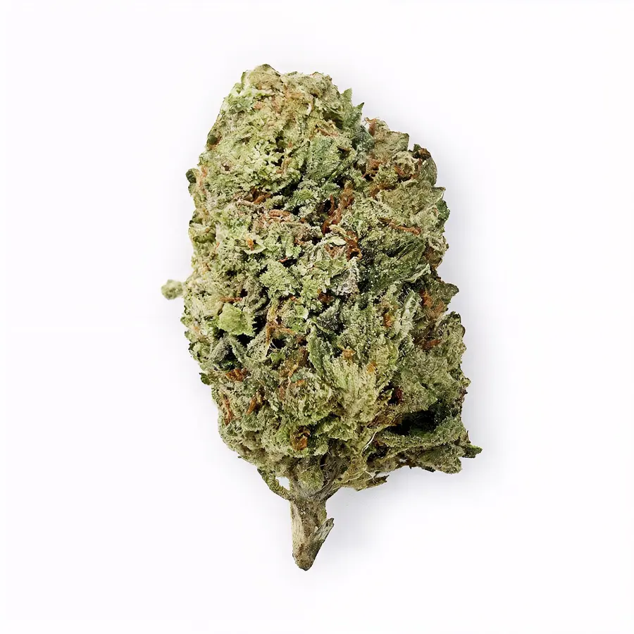 Head Band Flower  Hybrid  THCA