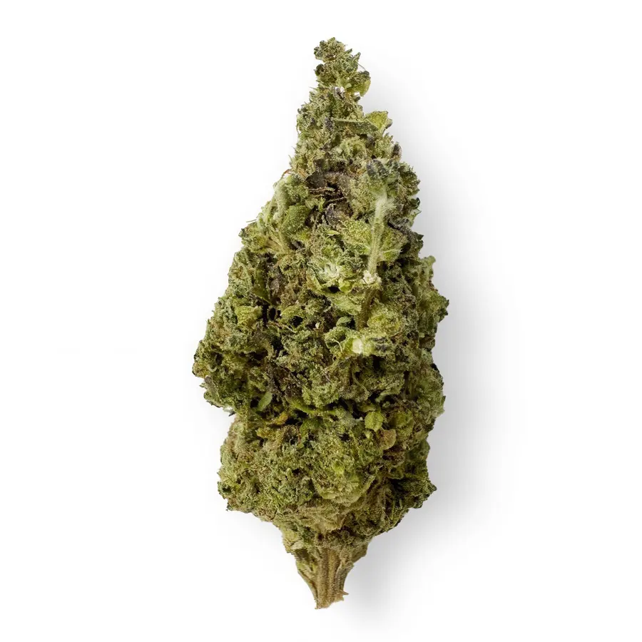 Lemon Bean Flower  Sativa  THCA