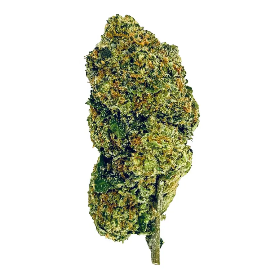 Melon Flower  Hybrid  THCA