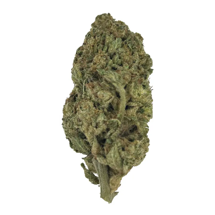 Pink Candy Flower - Sativa  THCA