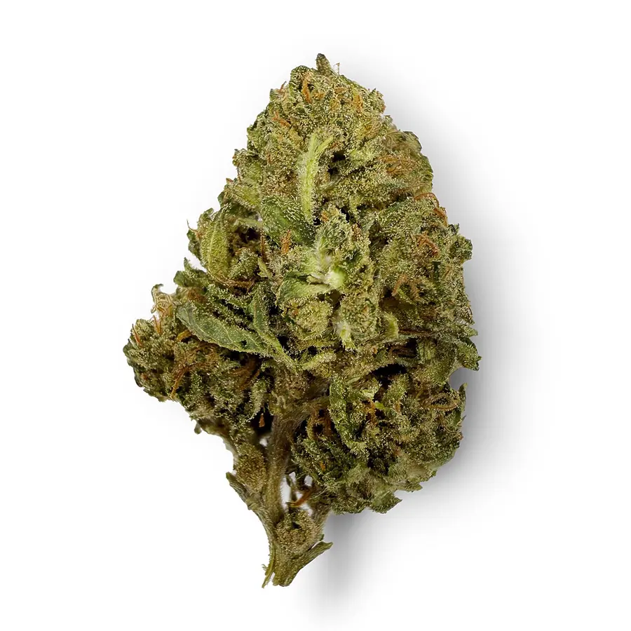 Red Congolese Flower  Sativa  THCA