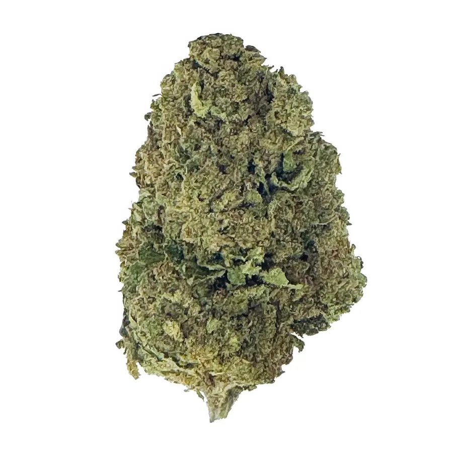 Sherbadough Flower  Hybrid  THCA
