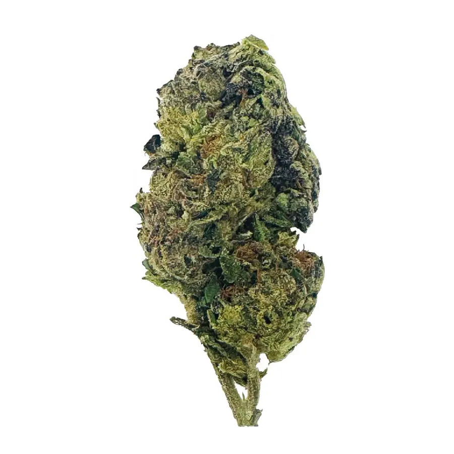 Silver Haze Flower  Sativa  THCA