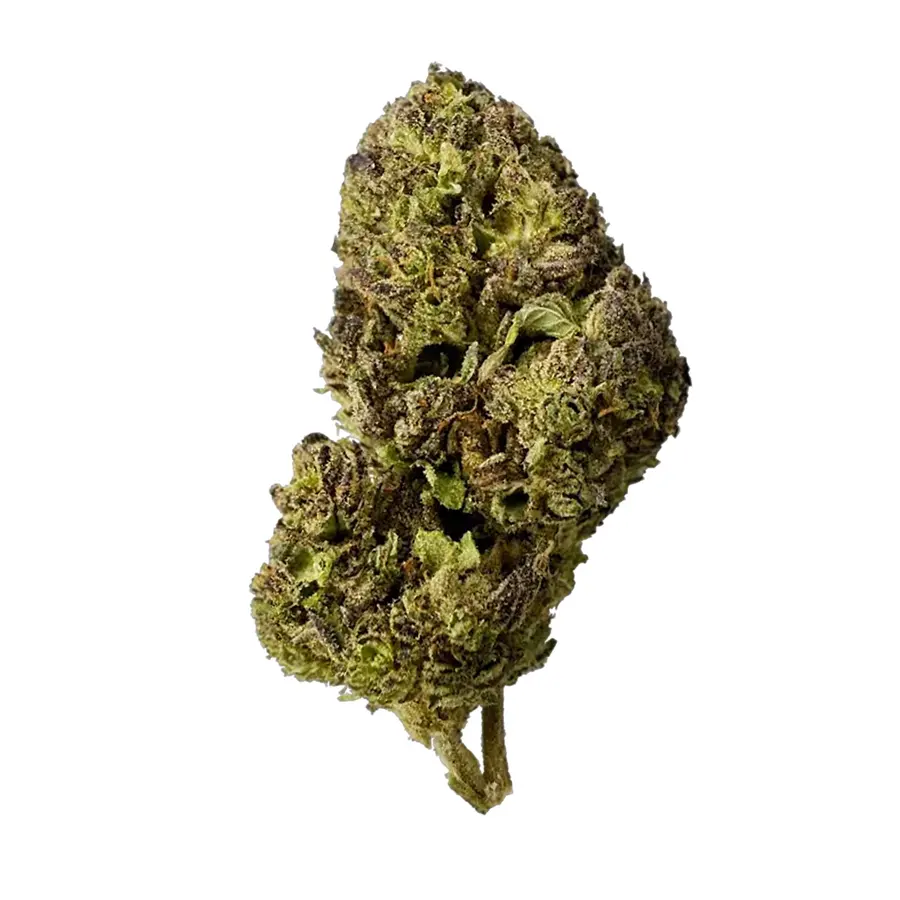 Wedding Wreck Flower  Hybrid  THCA