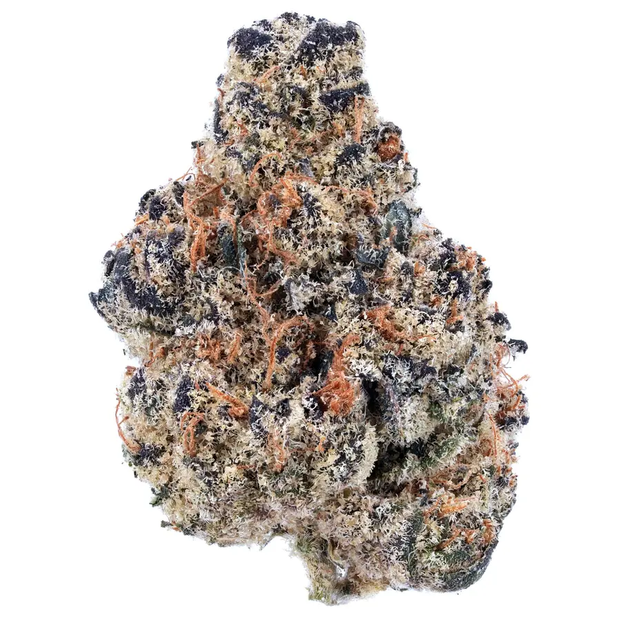 Animal Cookies (GSC x Tsunami) THCA Flower