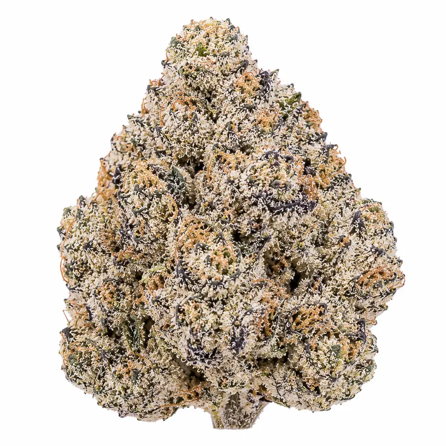 Blue Lobster THCA Flower