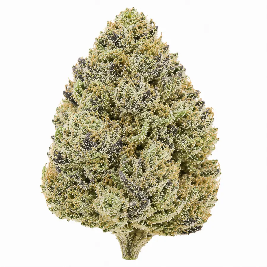 Gusherz THCA Flower