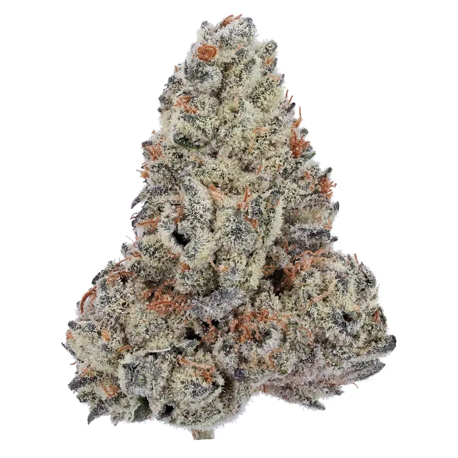 Legacy Blue Dream THCA Flower