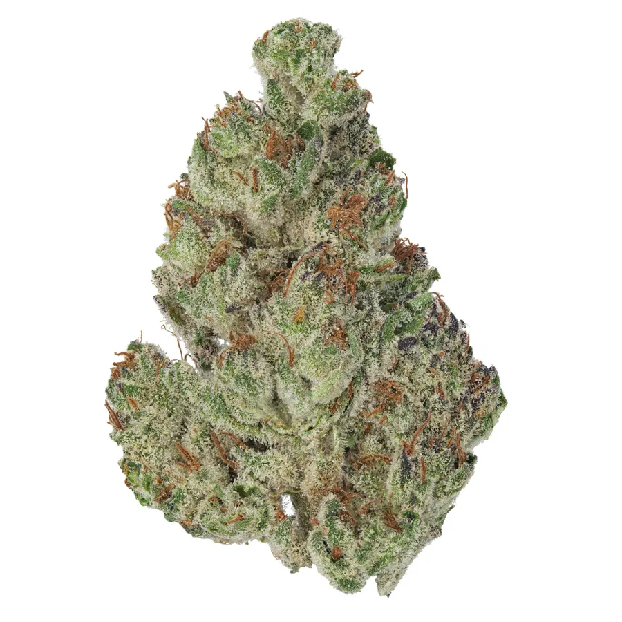 SFV OG THCA Flower