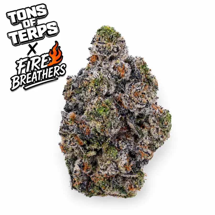 Tons of Terps x Fire Breathers Toad Venom THCA Flower