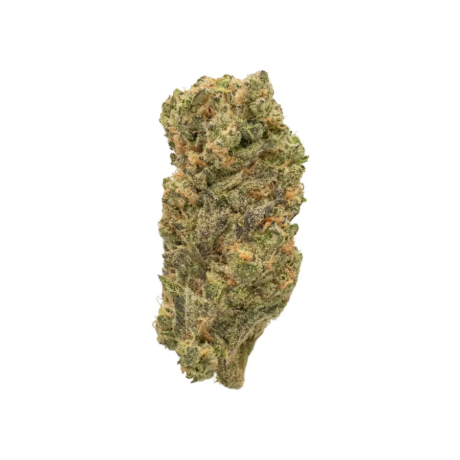Governmint Oasis - Hybrid Strain - THCa Flower - 32.70% - Exotic