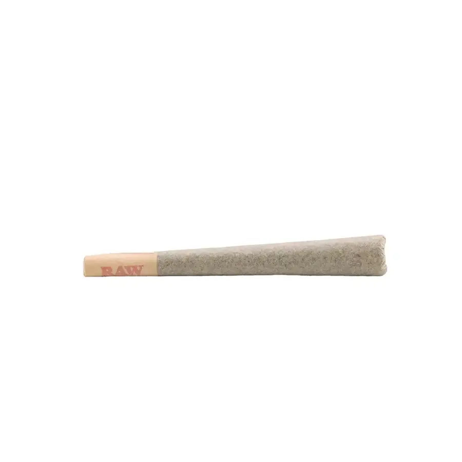 Knockout Infused Preroll - 1 Pack - 79.18% THCa