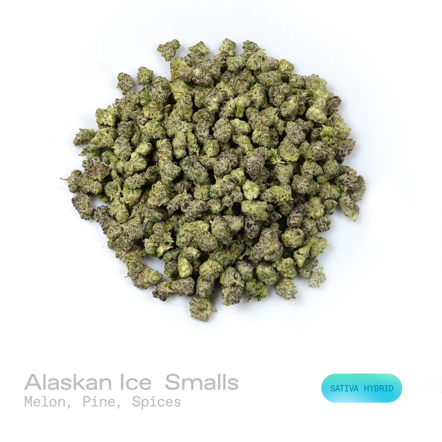 Alaskan Ice THCa Flower (Exotic) (Sativa Hybrid)
