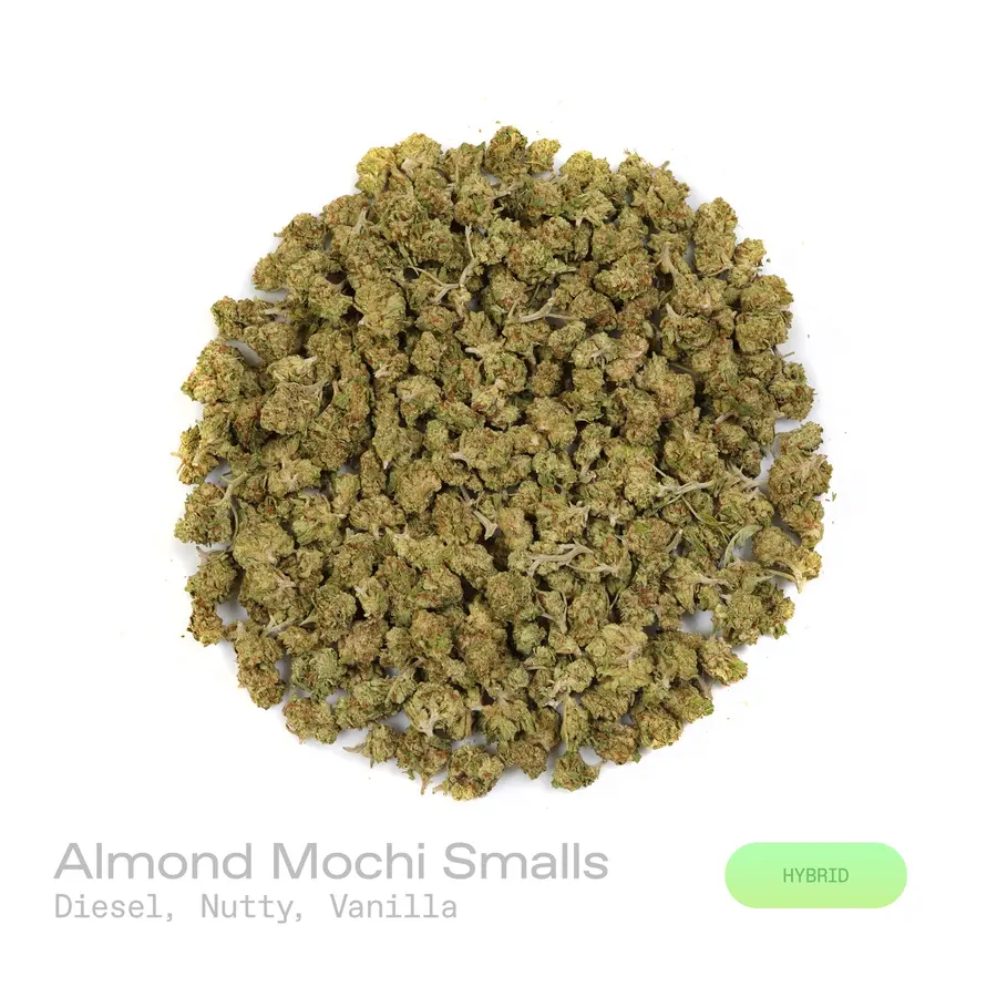 Almond Mochi THCa Flower (Indoor) (Hybrid)