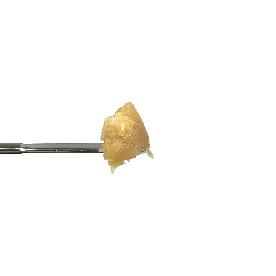 Angelica THCa Badder