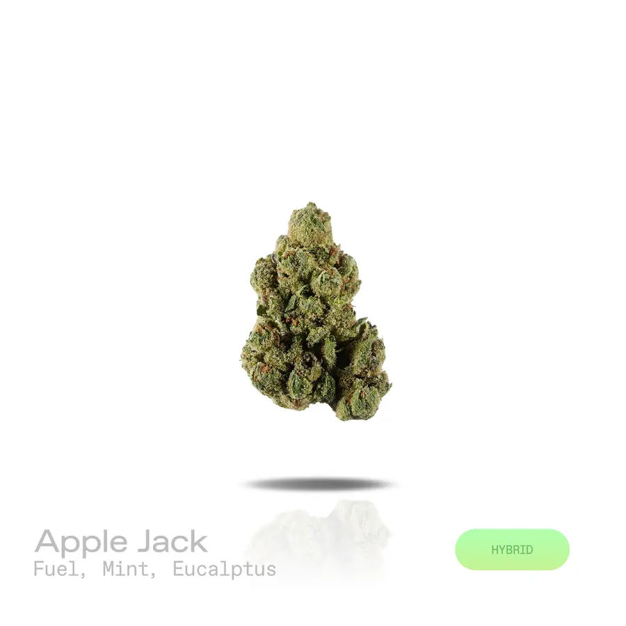 Apple Jack THCa Flower (Indoor) (Hybrid)