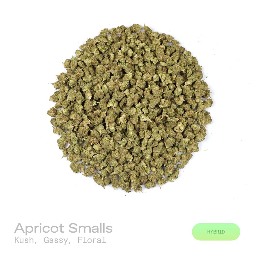 Apricot THCa Flower (Indoor) (Hybrid)