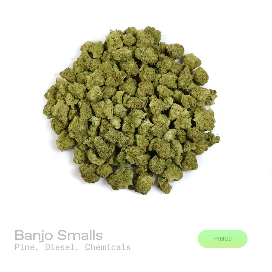 Banjo THCa Flower (Indoor) (Hybrid)