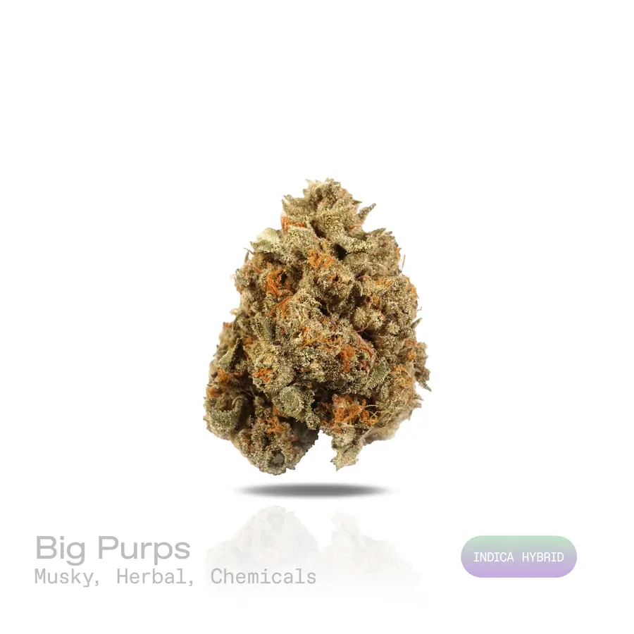Big Purps THCa Flower (Indoor) (Indica Hybrid)