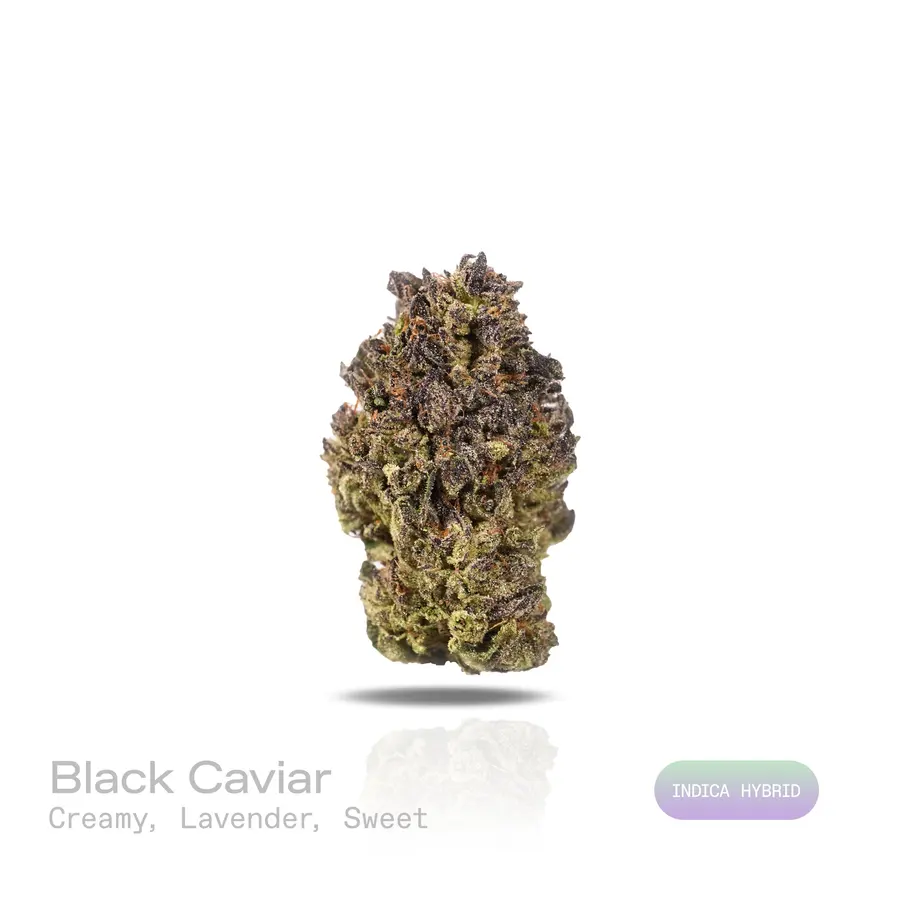 Black Caviar THCa Flower (Indoor) (Indica Hybrid)