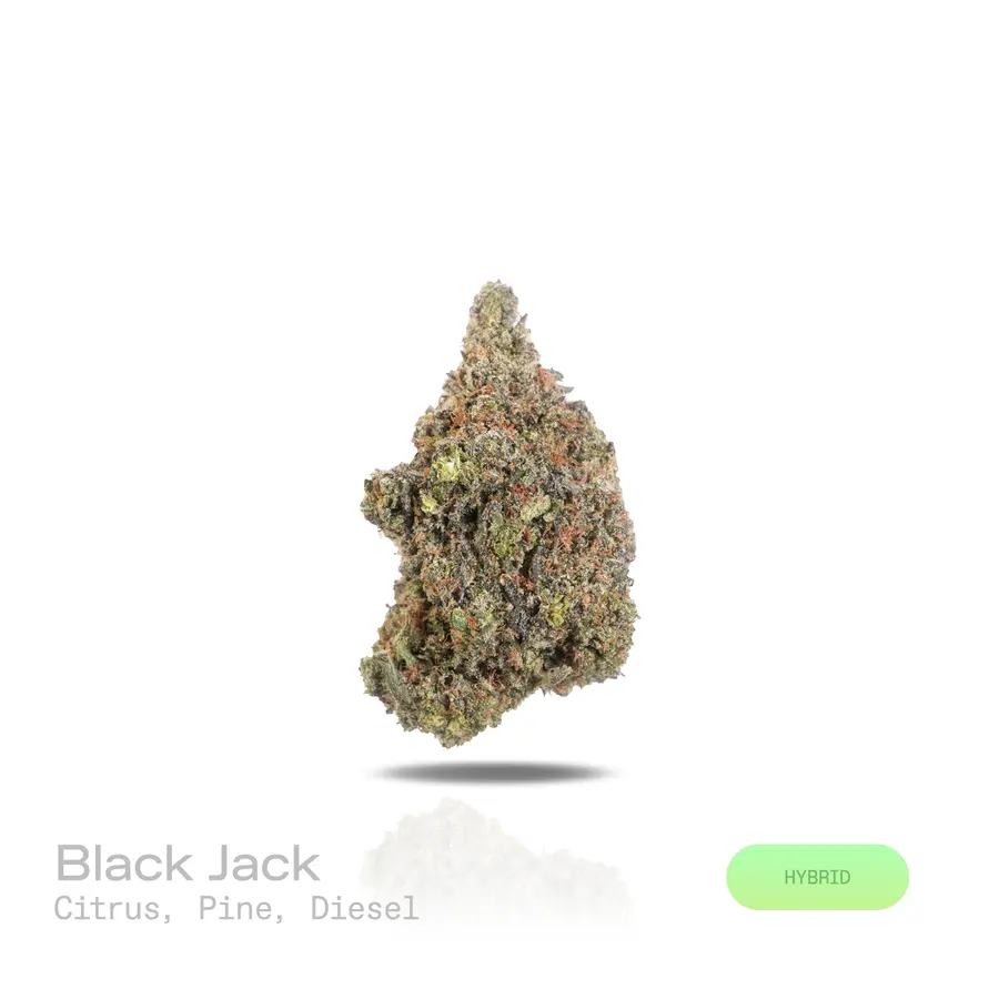 Black Jack THCa Flower (Exotic) (Hybrid)