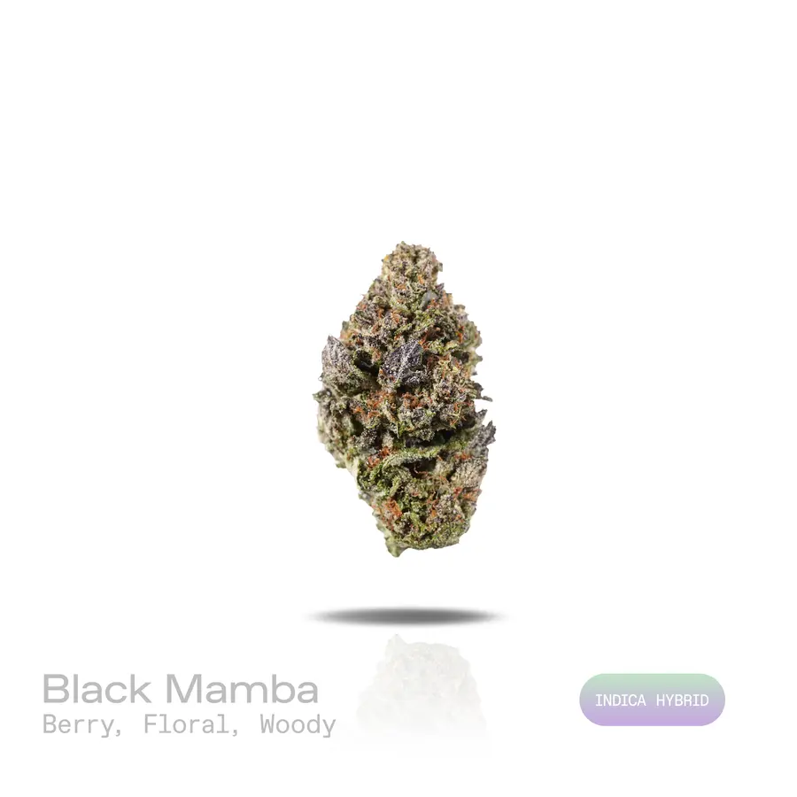 Black Mamba THCa Flower (Indoor) (Indica Hybrid)