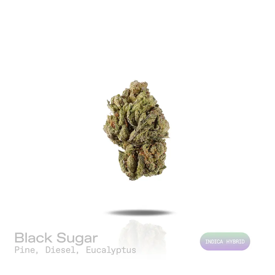 Black Sugar THCa Flower (Indoor) (Indica Hybrid)