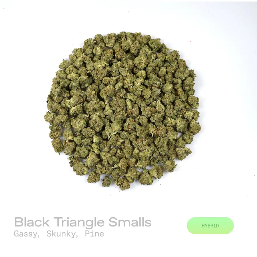 Black Triangle THCa Flower (Exotic) (Indica Hybrid)