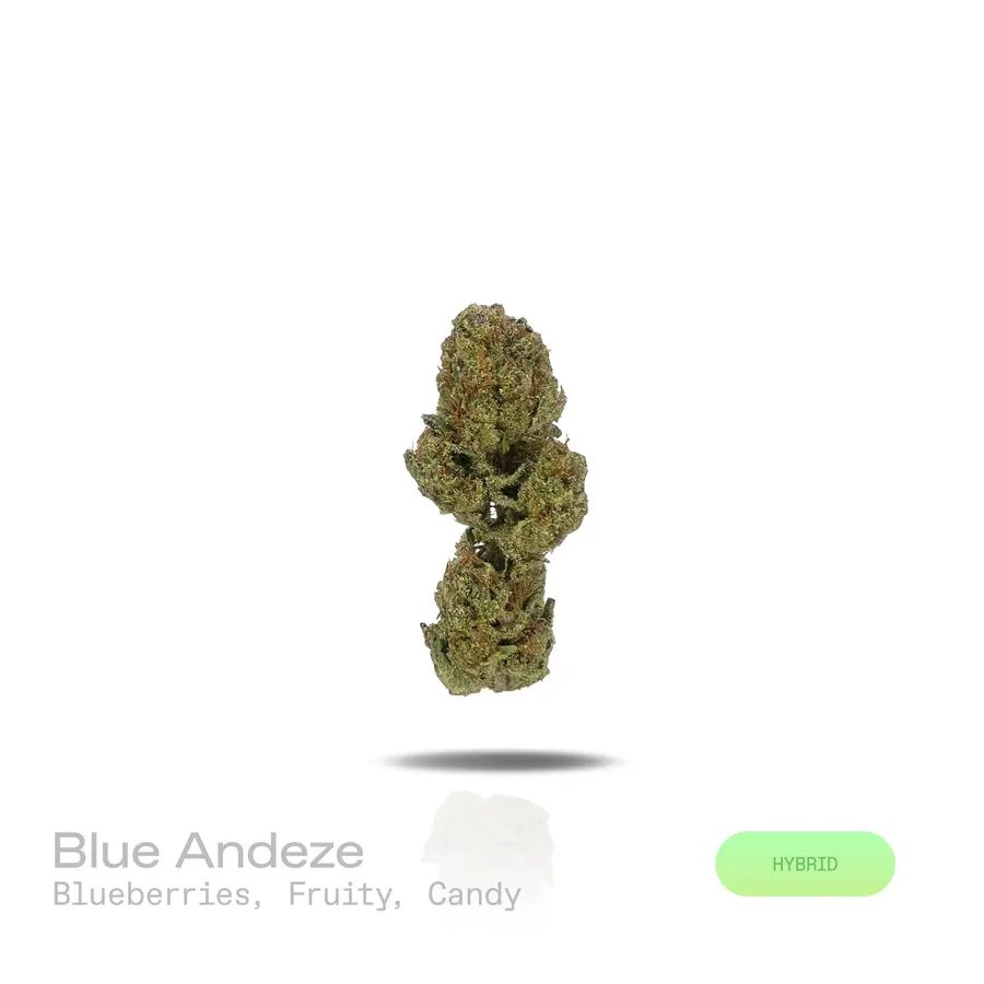 Blue Andeze THCa Flower (Indoor) (Hybrid)