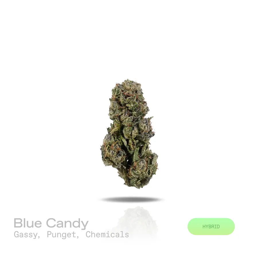 Blue Candy THCa Flower (Indoor) (Hybrid)