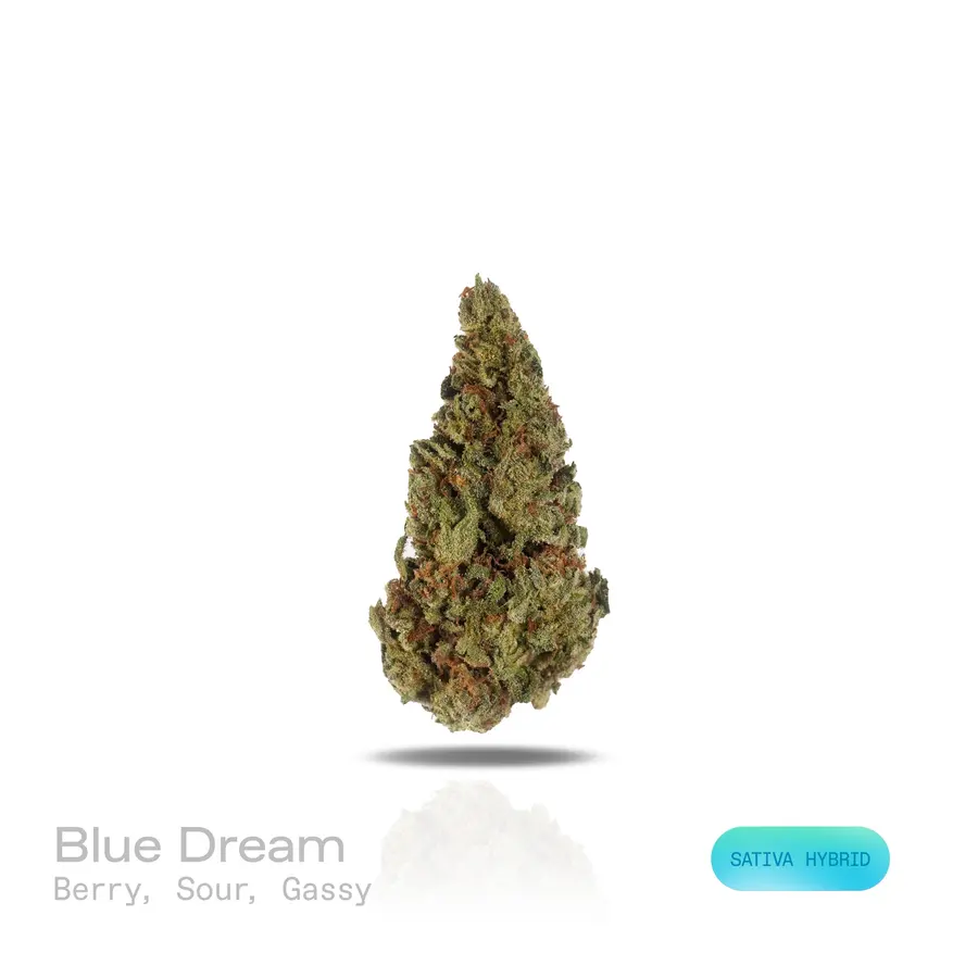 Blue Dream THCa Flower (Indoor) (Sativa Hybrid)