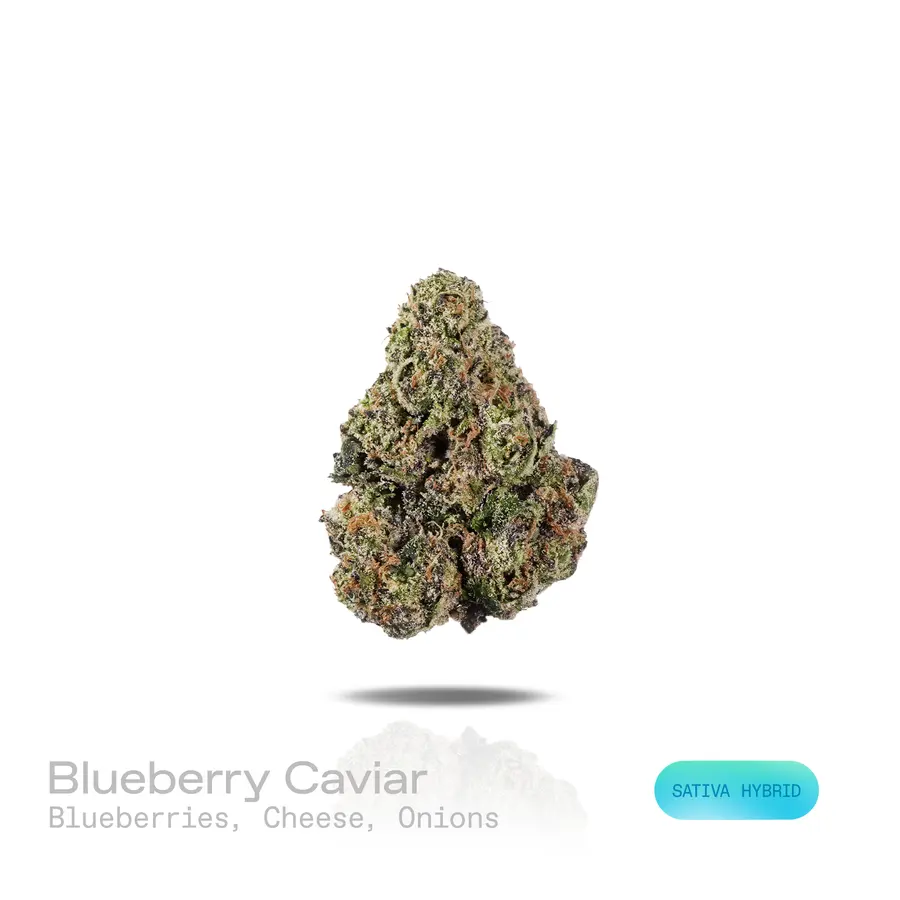 Blueberry Caviar THCa Flower (Exotic) (Sativa Hybrid)