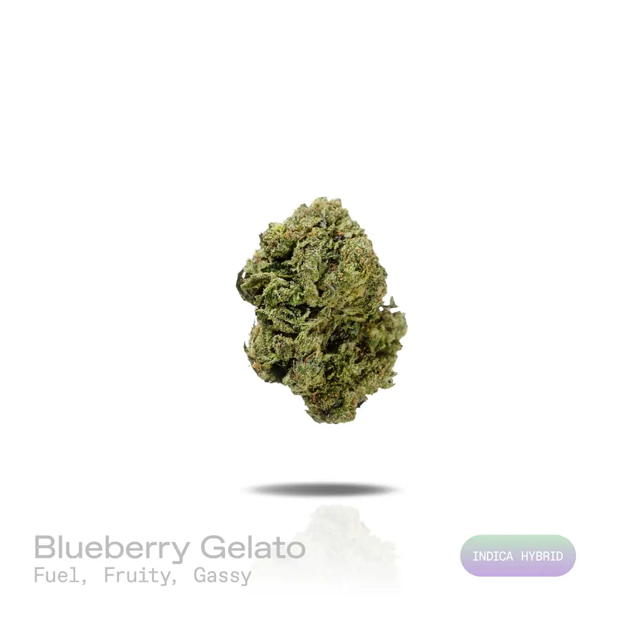 Blueberry Gelato THCa Flower (Indoor) (Indica Hybrid)