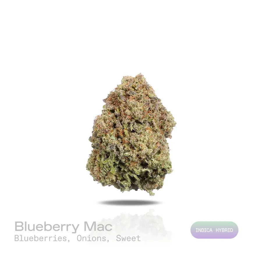 Blueberry Mac THCa Flower (Indoor) (Indica Hybrid)