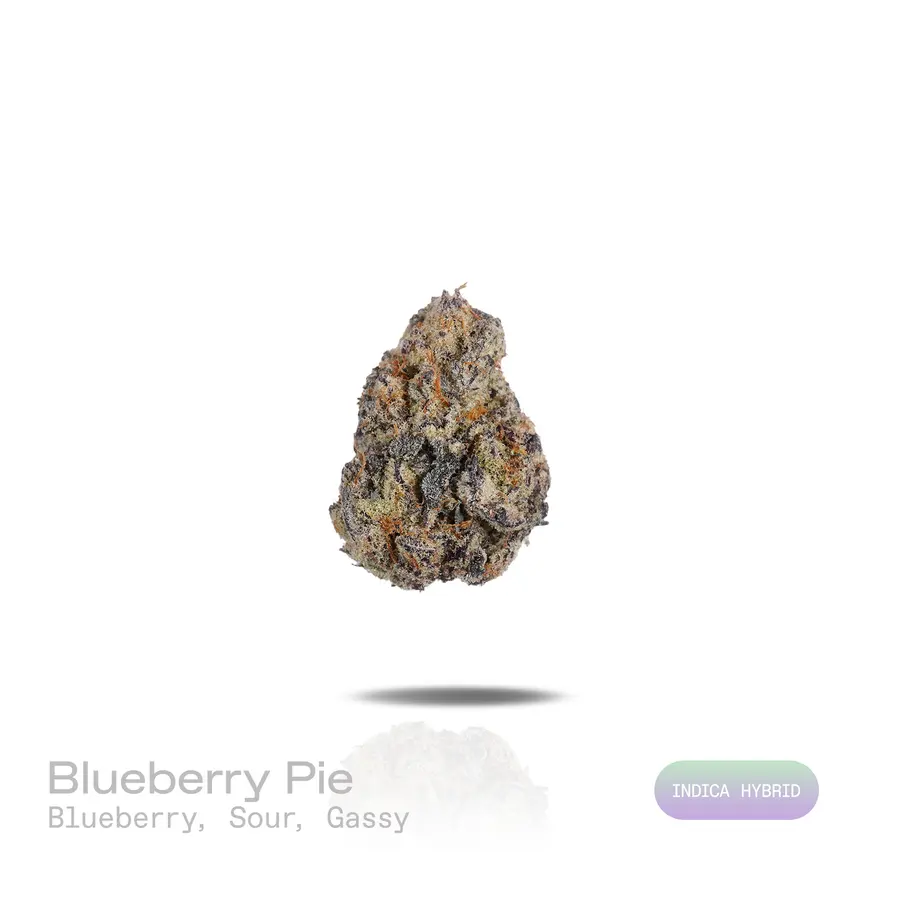 Blueberry Pie THCa Flower (Exotic) (Indica Hybrid)