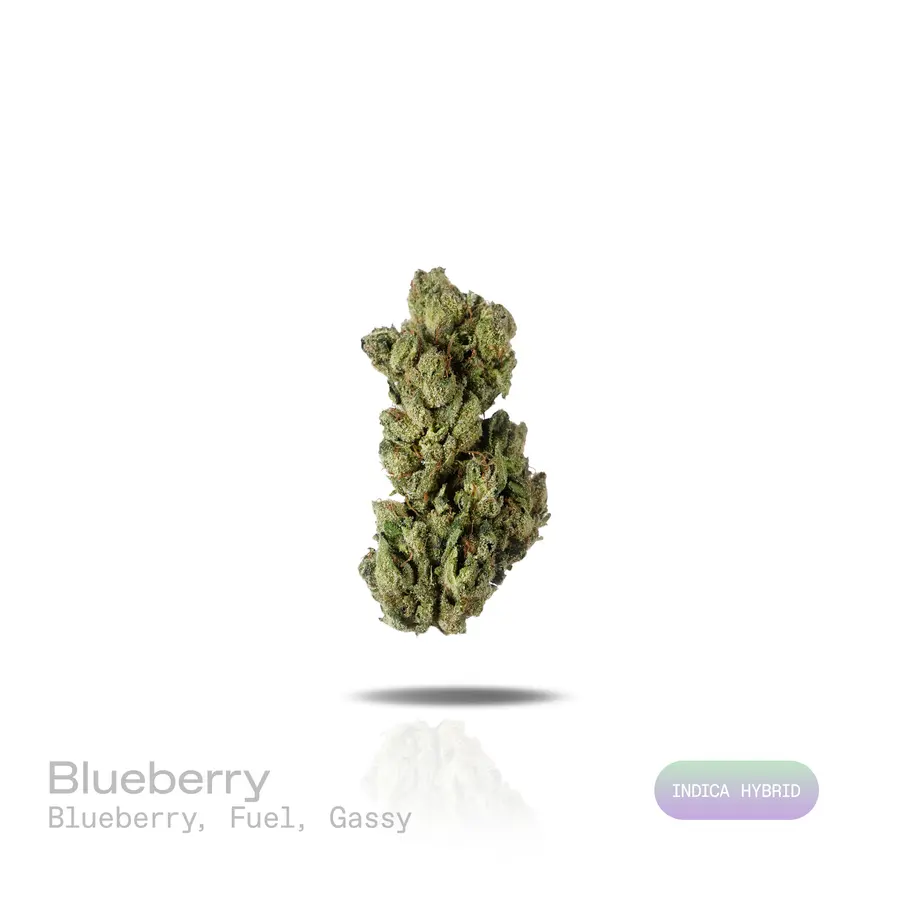 Blueberry THCa Flower (Indoor) (Indica Hybrid)