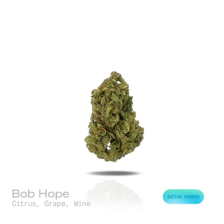 Bob Hope THCa Flower (Indoor) (Sativa Hybrid)