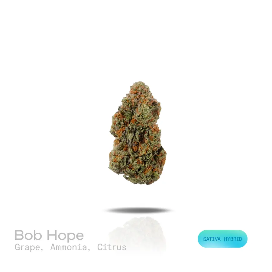 Bob Hope THCa Flower (Premium Indoor) (Sativa Hybrid)