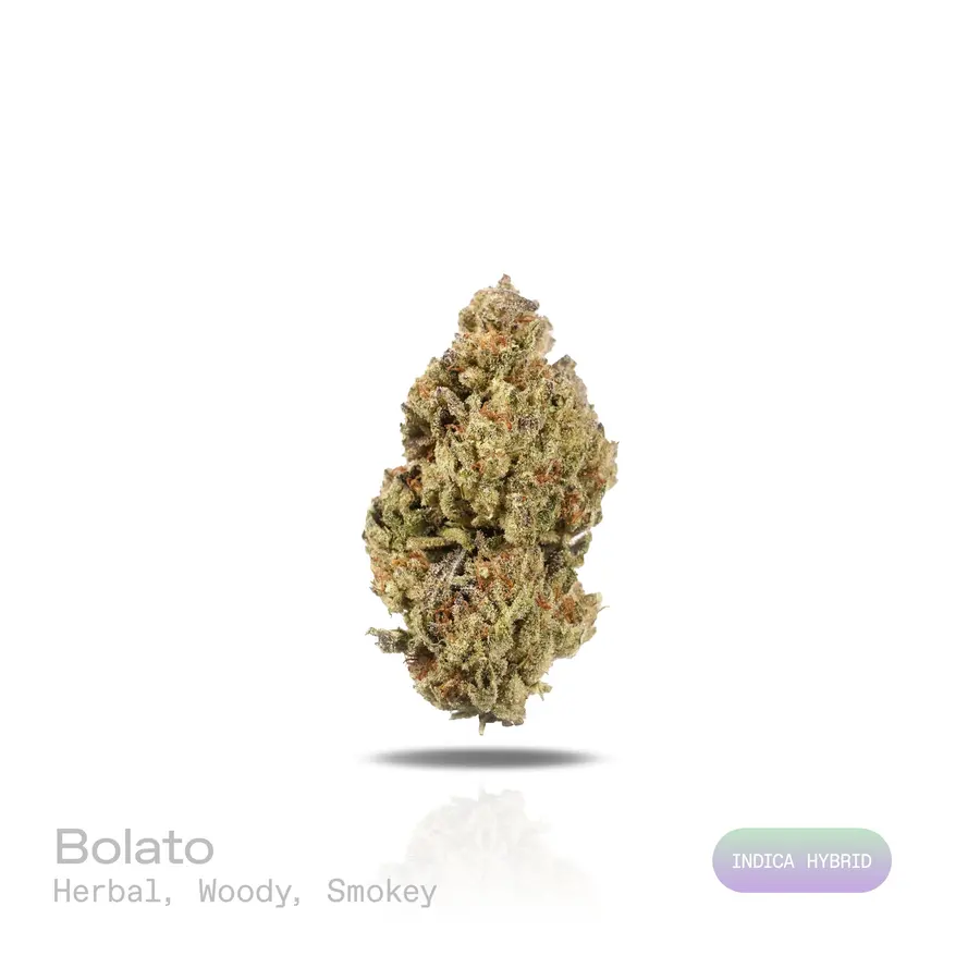 Bolato THCa Flower (Indoor) (Indica Hybrid)