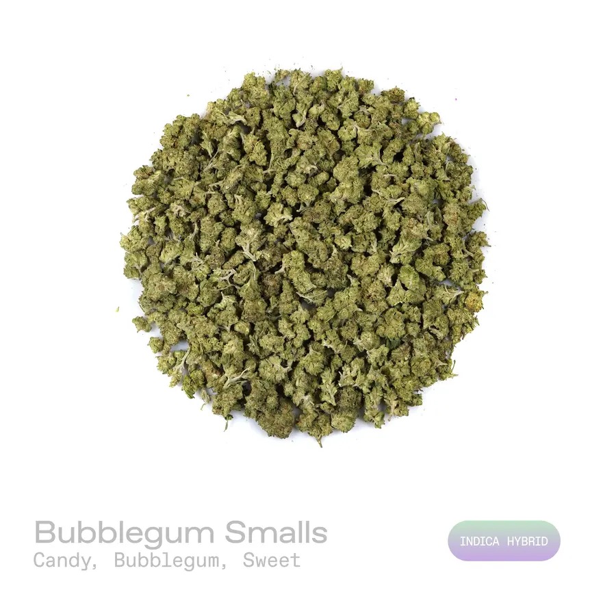 Bubblegum THCa Flower (Indoor) (Indica Hybrid)