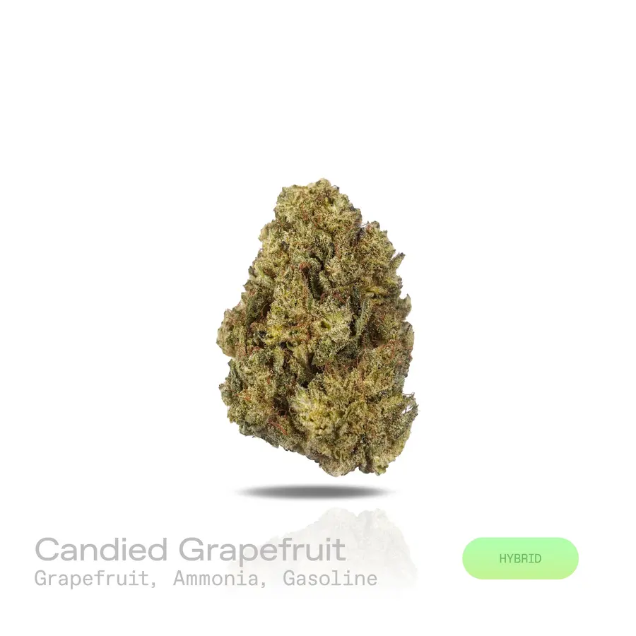 Candied Grapefruit THCa Flower (Indoor) (Hybrid)