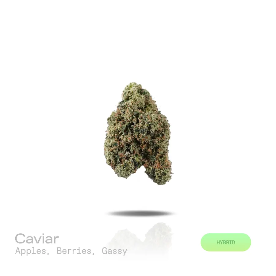 Caviar THCa Flower (Premium Indoor) (Hybrid)
